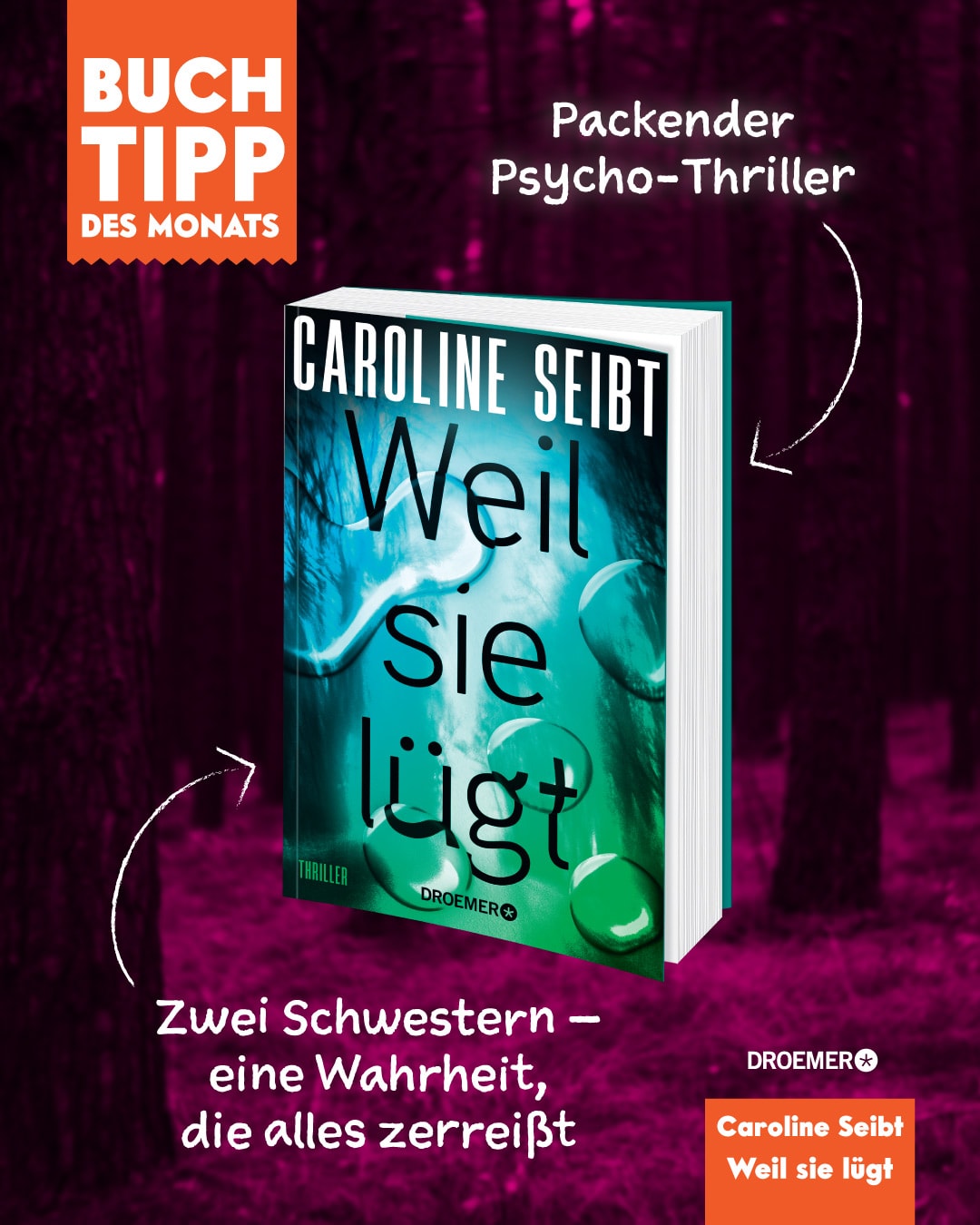 Abbildung des Buchtipps, gezeigt wird das Buchcover eines aktuellen Bestsellers, per Klick landet man bei mehr Informationen.